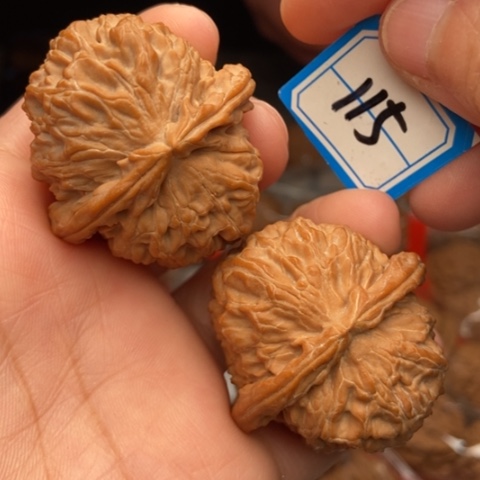 三角白四零的一个尺寸