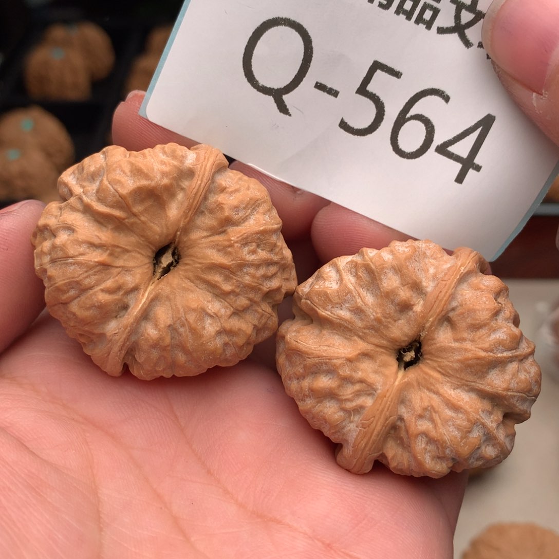 文玩核桃把件38蛙………