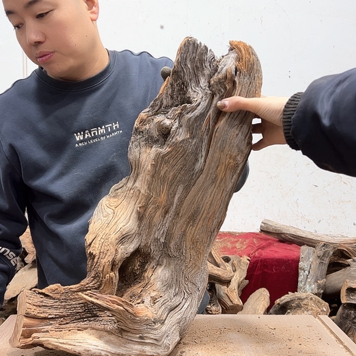 柏木就**语我们都是好孩子呀我也是