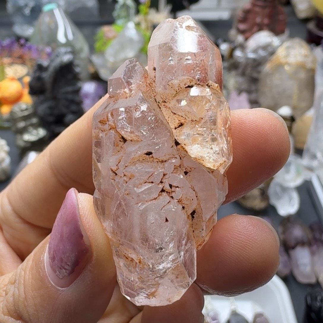 红泥骸骨双肩的样子