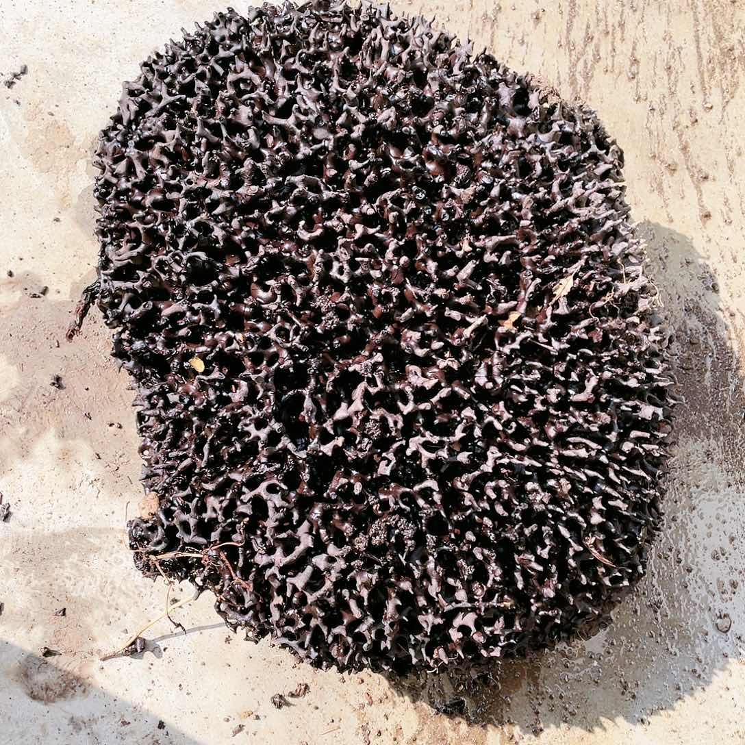 紫檀木类端景台3