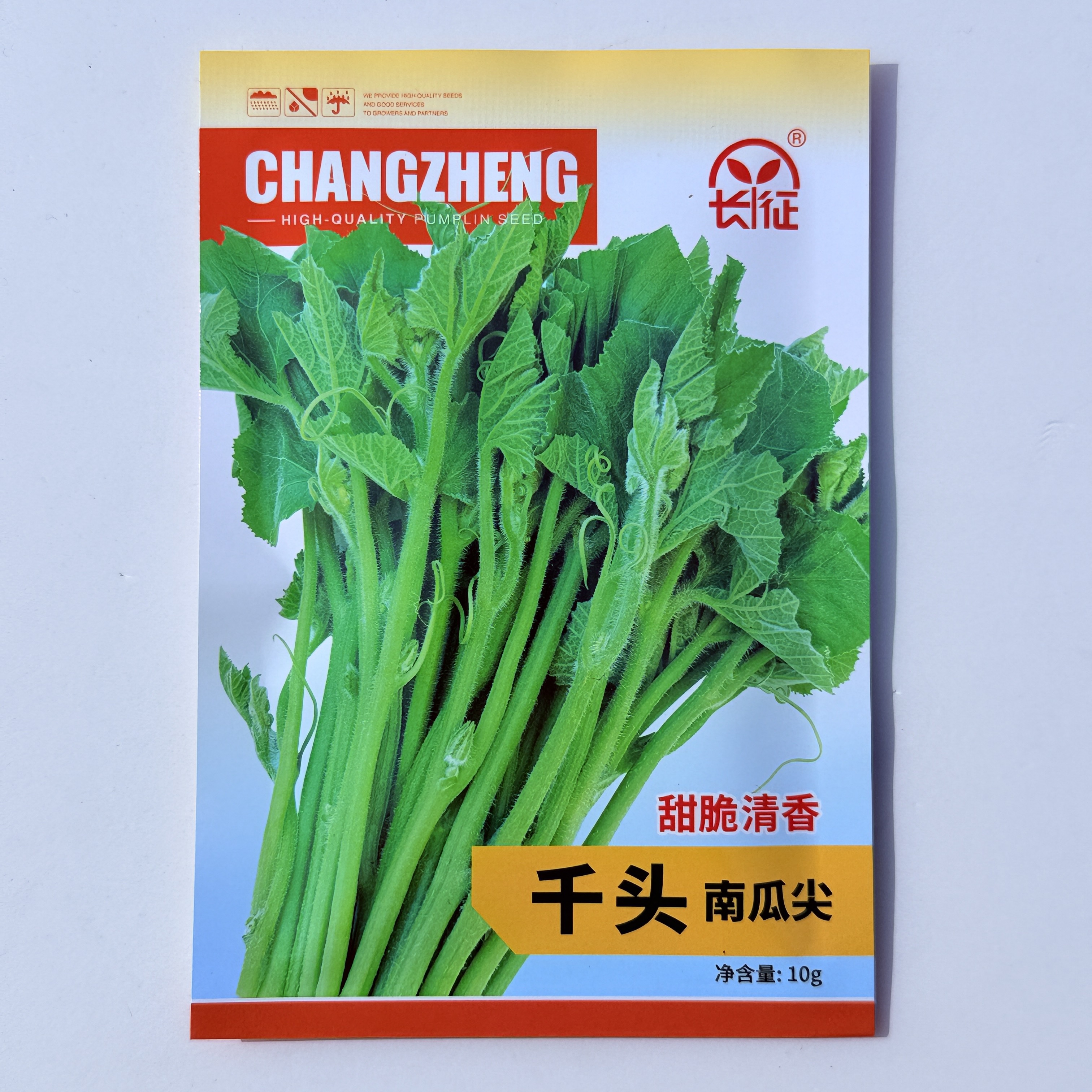 千头南瓜尖种子专吃茎叶苗的阳台四季蔬菜种子