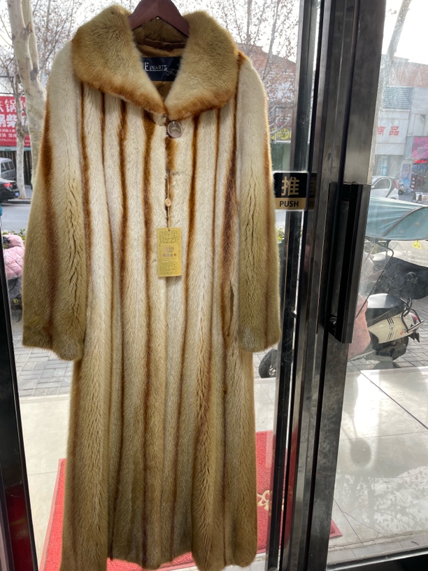 竖条金色貂皮大衣