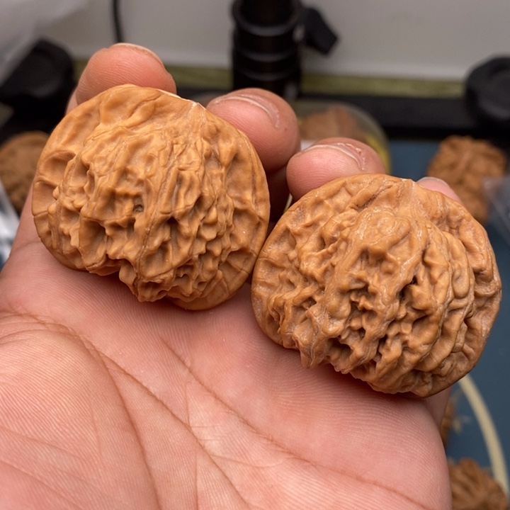 文玩核桃把件天地3