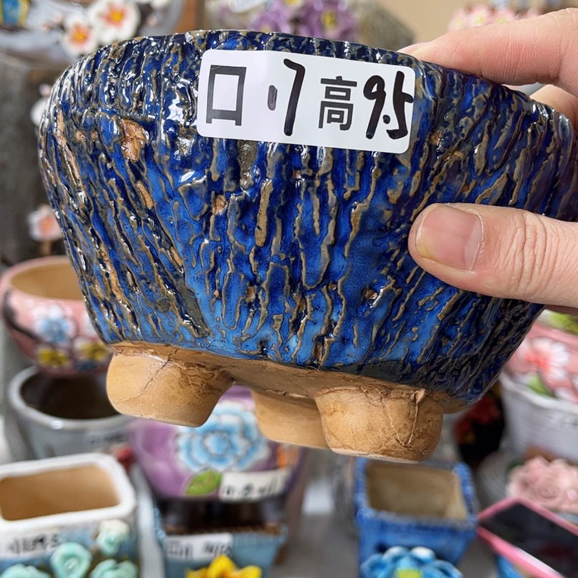 【闪购商品】红陶福利