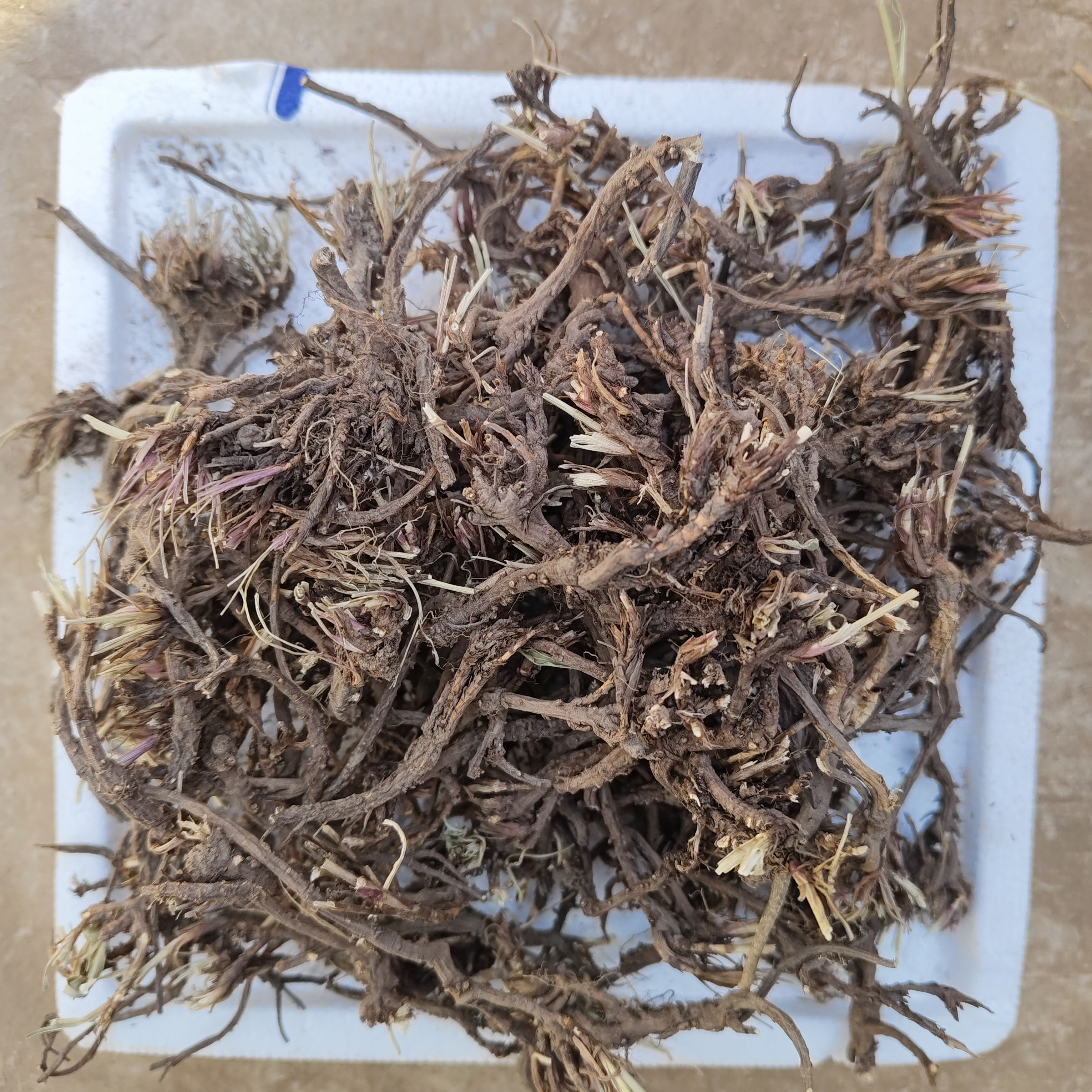 大山采挖野生北柴胡无硫无添加