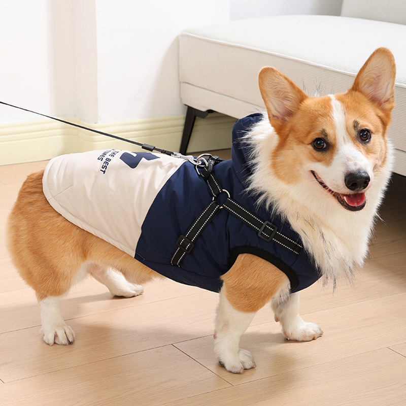 狗狗秋冬季棉服加厚保暖连帽柴犬柯基棉衣中小型犬比熊泰迪棉背心