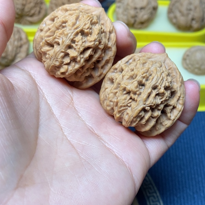 文玩核桃盘龙虎40