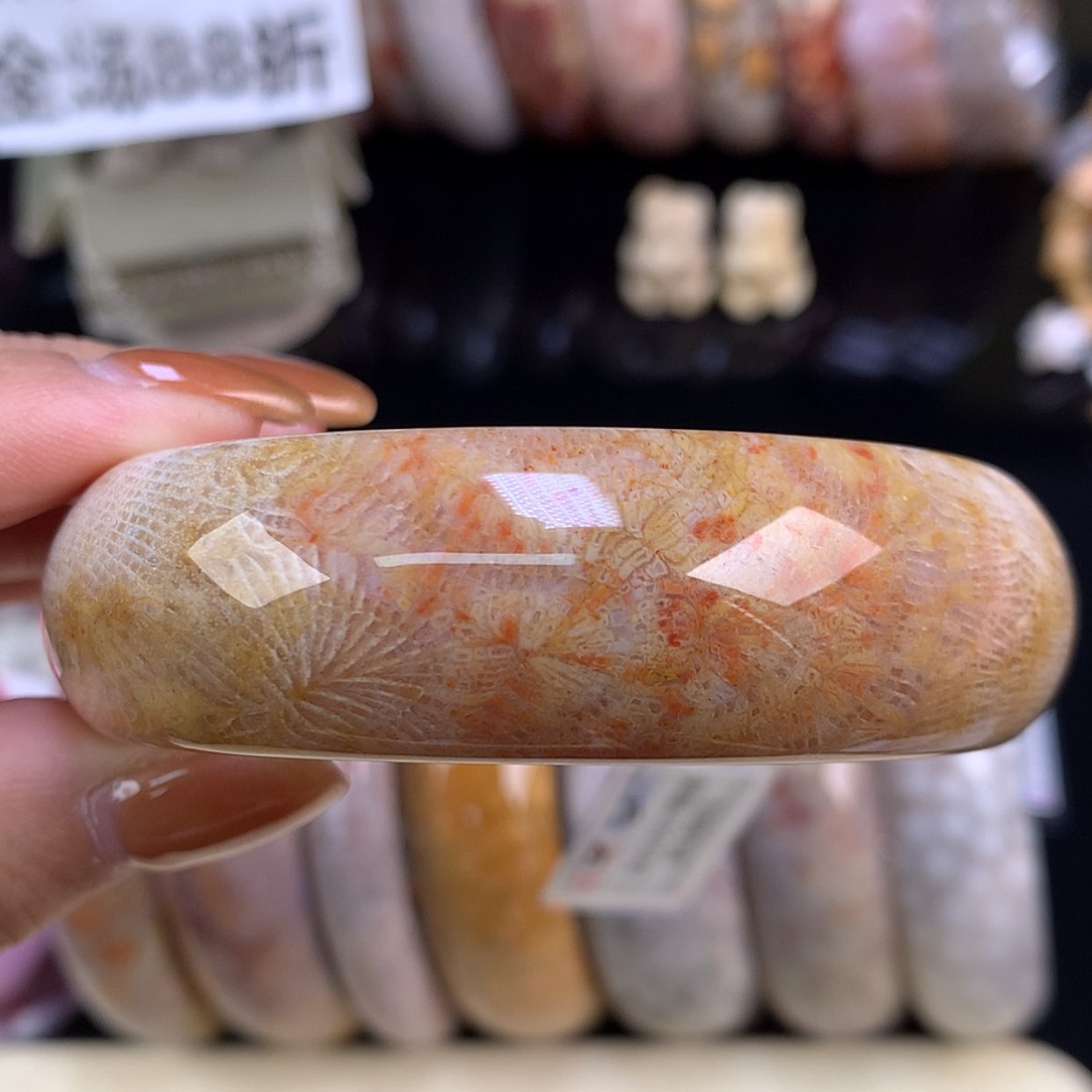 【闪购商品】颈饰未镶嵌硅化珊瑚（珊瑚玉）彩凤尾57（18号）