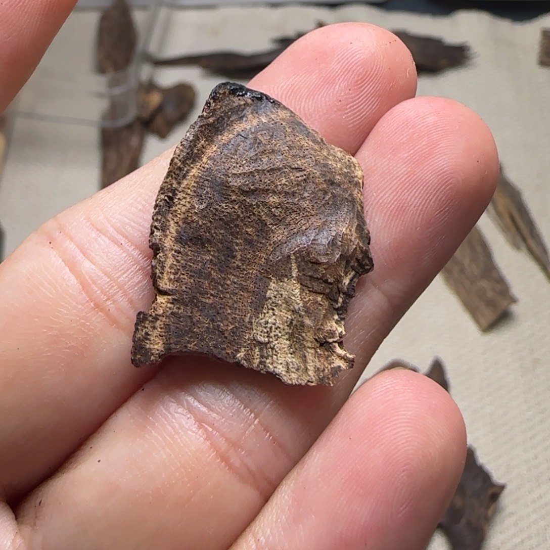 沉香碎屑沉香海南包壳碎料