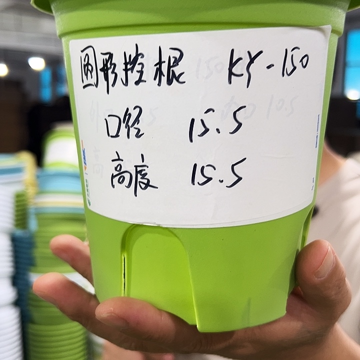 正品圆控口15高15混色10个无托