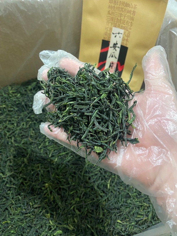 2025新茶金寨响洪甸谷雨土树种手工六安瓜片核心产区