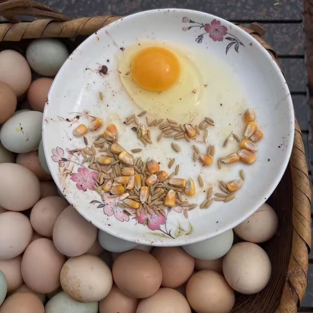 正宗湖南农家散养土鸡蛋正品新鲜绿壳黄壳正宗土鸡蛋包邮