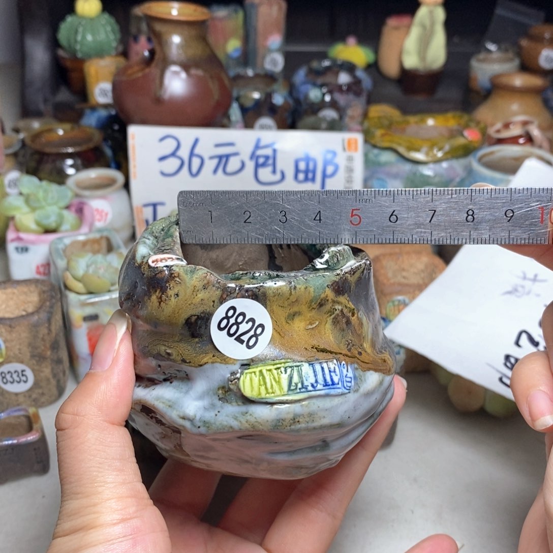 拍2送一个小礼物