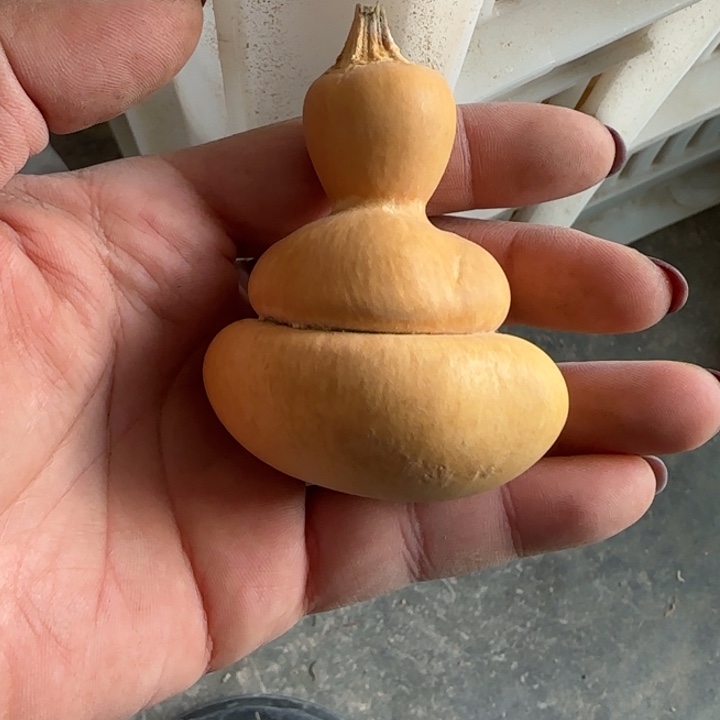 守***0葫芦钱袋子手把件葫芦