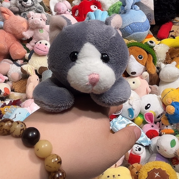 毛绒玩偶豆袋哈哈哈