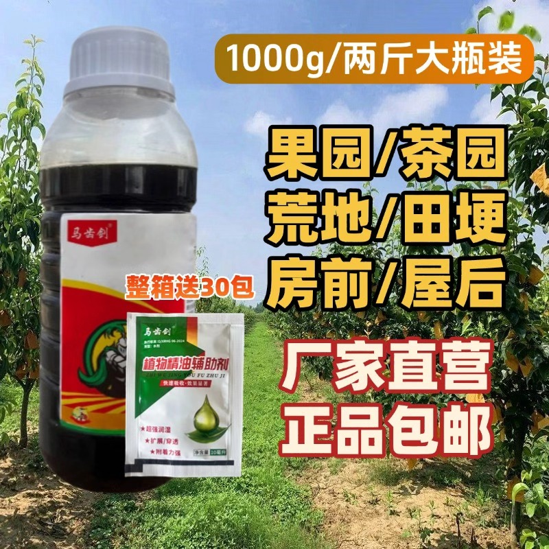 马齿剑果园茶园田埂房前屋后道路通用搭配方便溯源直发有机质L