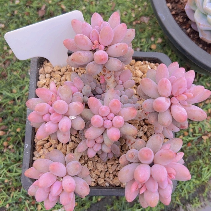 健健康康平平安安