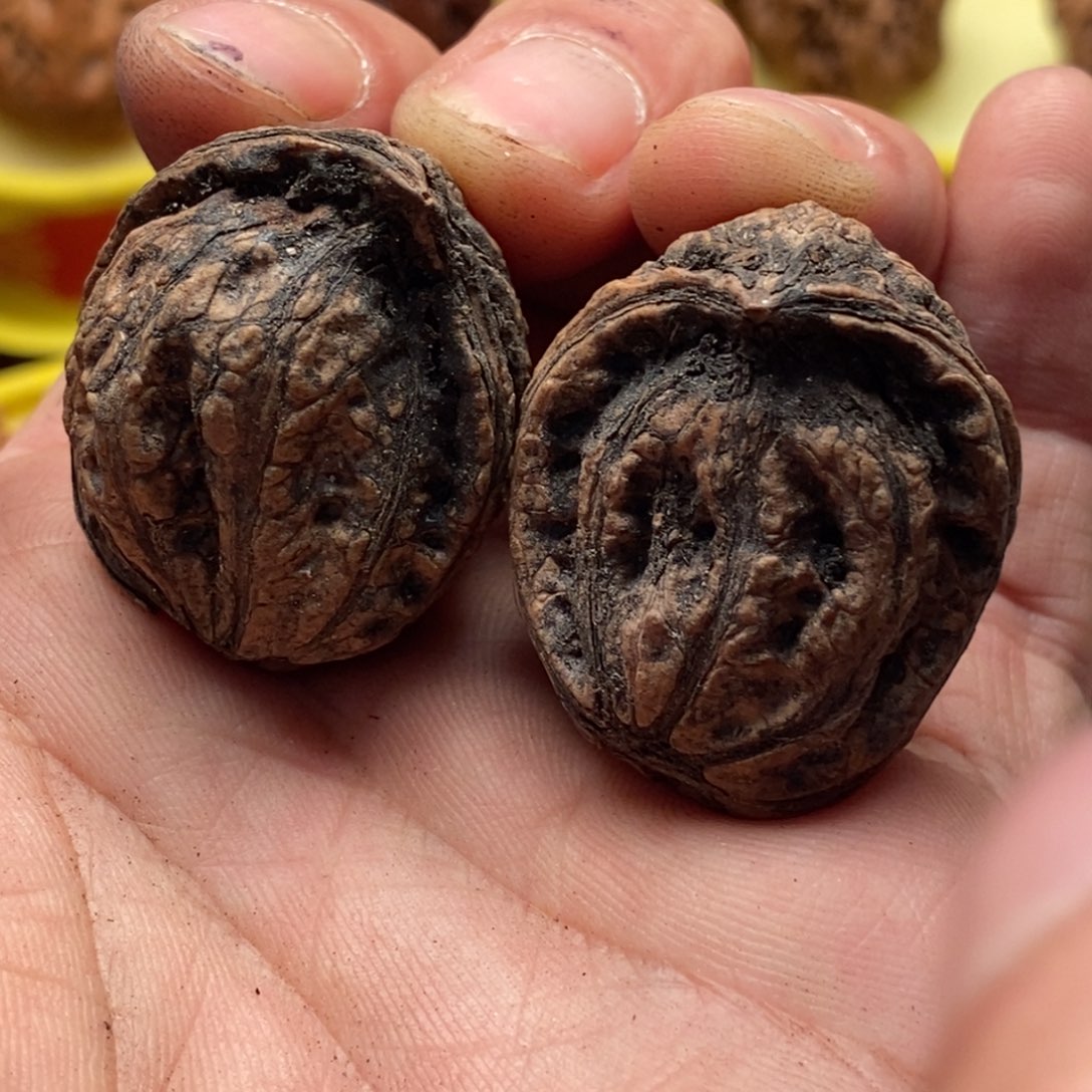 吊坠文玩核桃楸子126