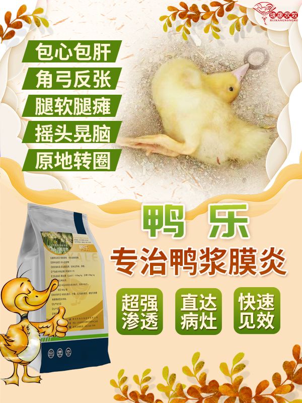 鸭鹅浆膜炎大肠杆菌专用产品腿瘸瘫痪黄白稀便