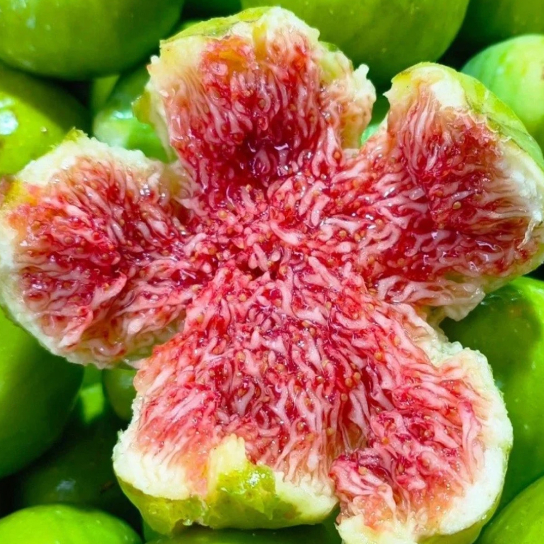 青皮无花果水果(一盒一斤装)