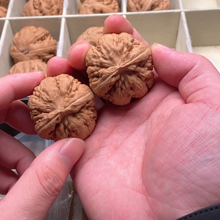 把件文玩核桃所****求