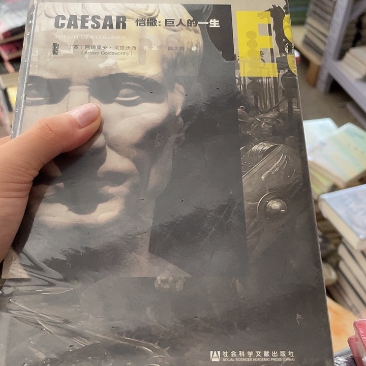 凯撒巨人的一生：小瑕疵