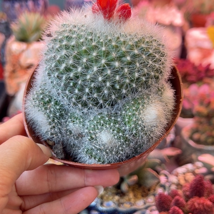 一物一拍，感谢支持