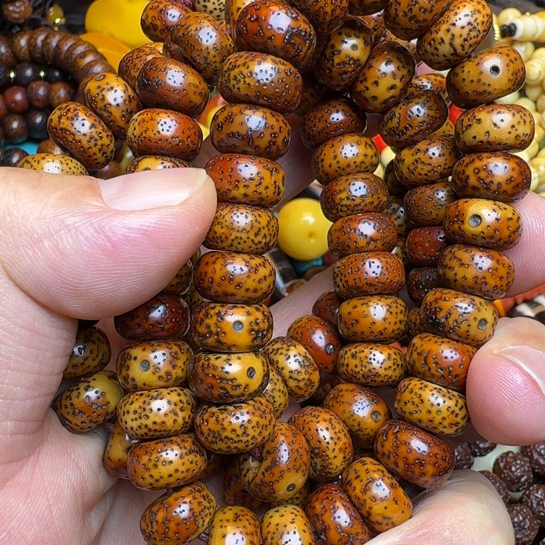 菩提籽类星月菩提