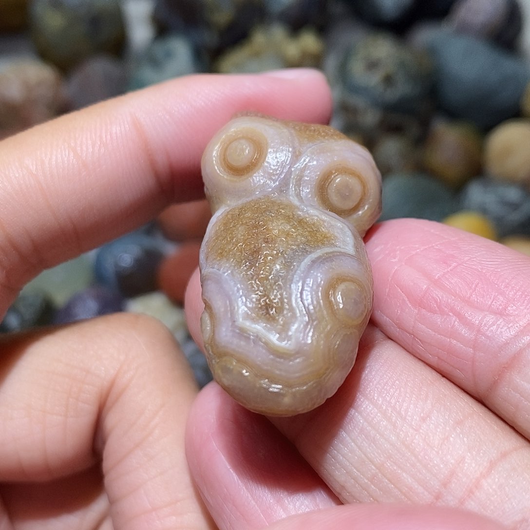 石头精品眼睛单科