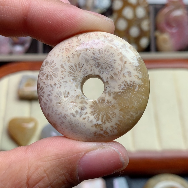 硅化珊瑚（珊瑚玉）颈饰未镶嵌