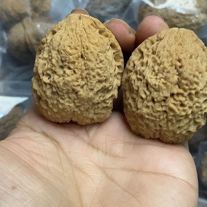 文玩核桃把件云南铁核桃基地14