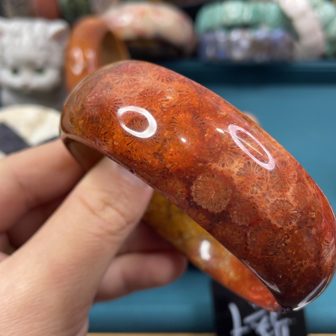 未镶嵌手镯硅化玉