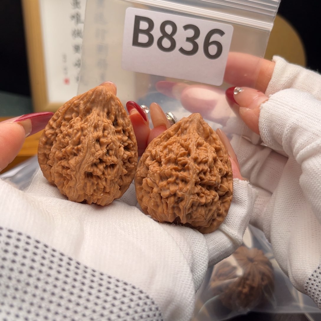 文玩核桃把件40蚂蚁王b 836