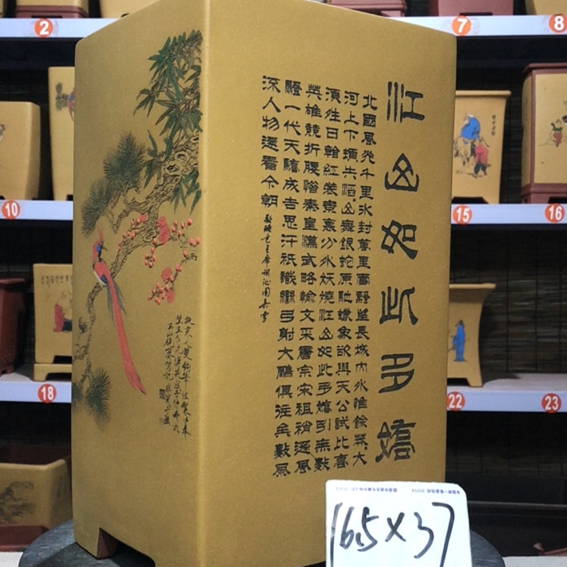 【闪购商品】紫砂花盆姜*手工制作