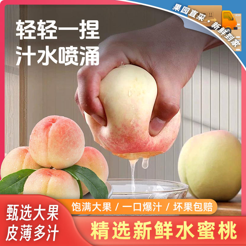 河北邮政甄选保定新鲜采摘精品爆汁水蜜桃现摘现发脆甜可口 