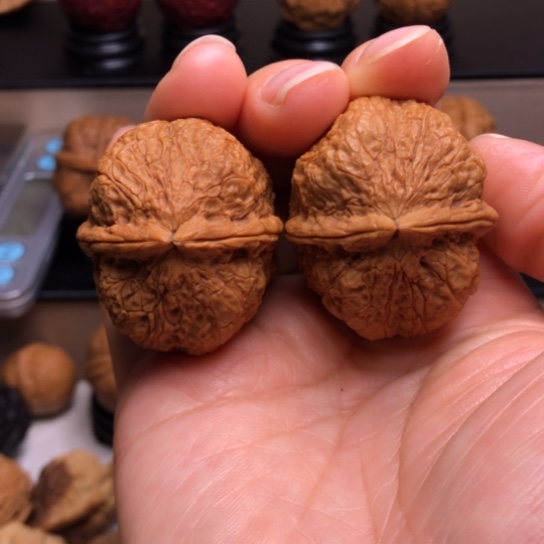 文玩核桃把件九五帝皇蟾30