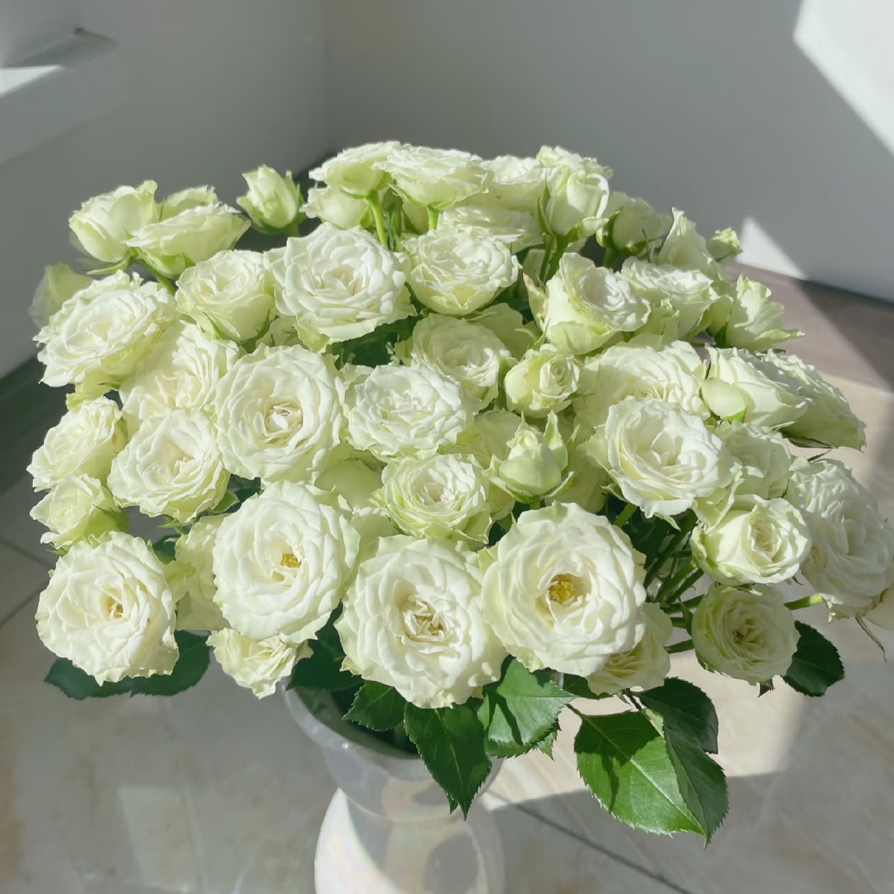 繁星多头玫瑰【两单以上升级顺丰】云南鲜花  家庭插花