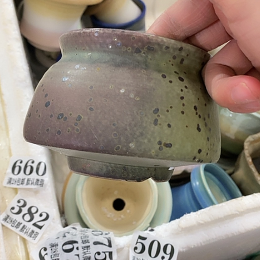 【闪购商品】红陶口8