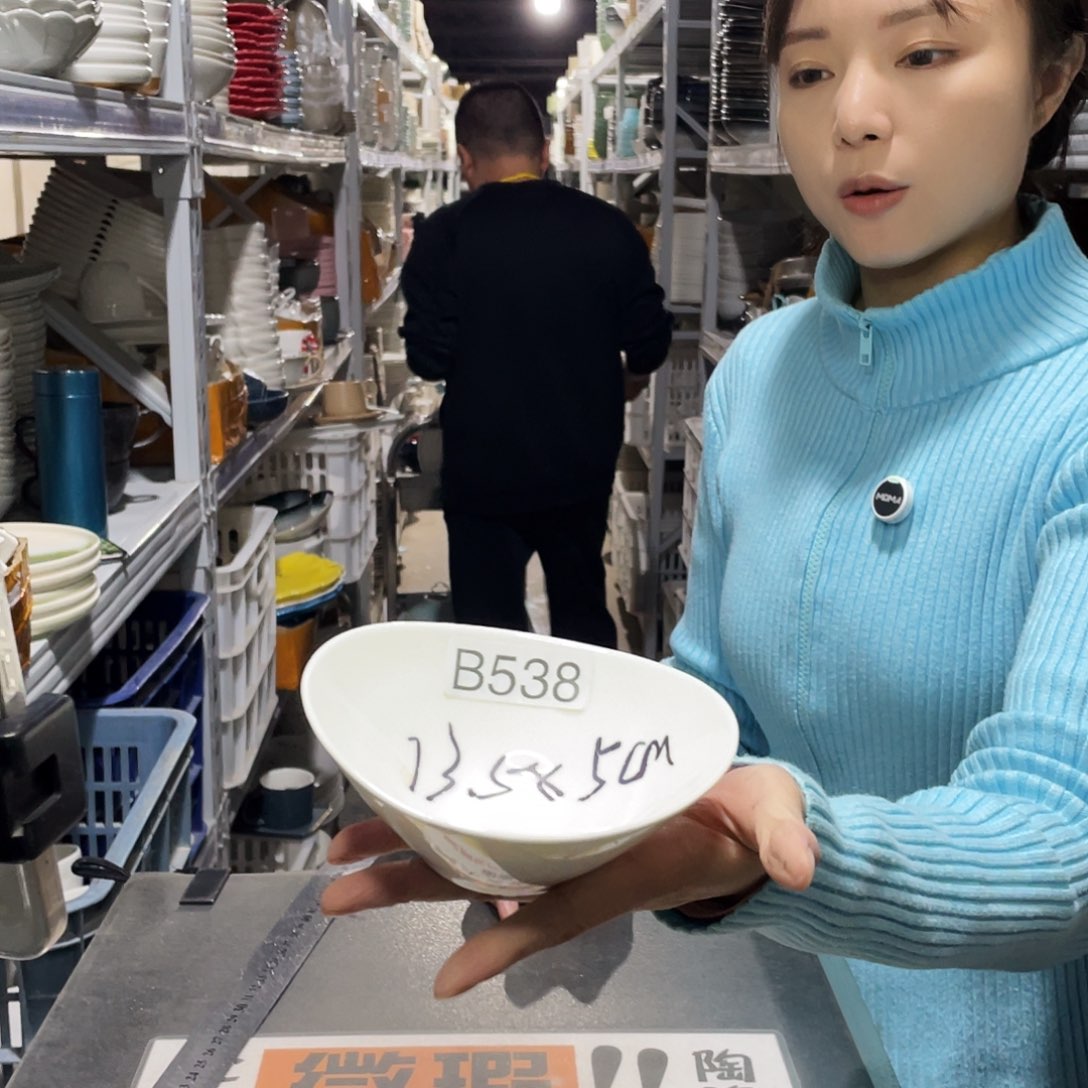 瓷片538                   10个