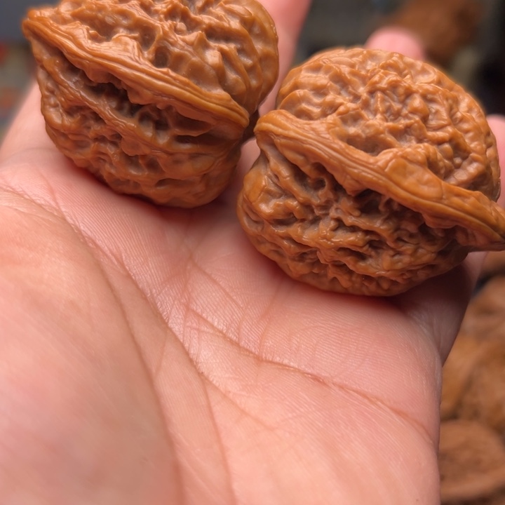 安***销把件文玩核桃40蚂蚁王蚂蚁王