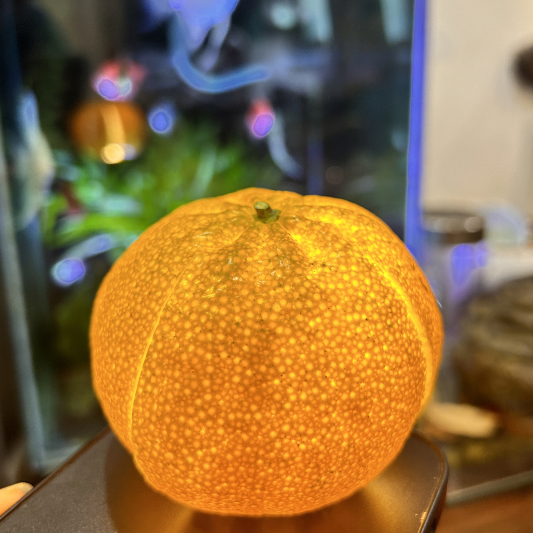 福利款链接【通用链接】新会陈皮自家果园