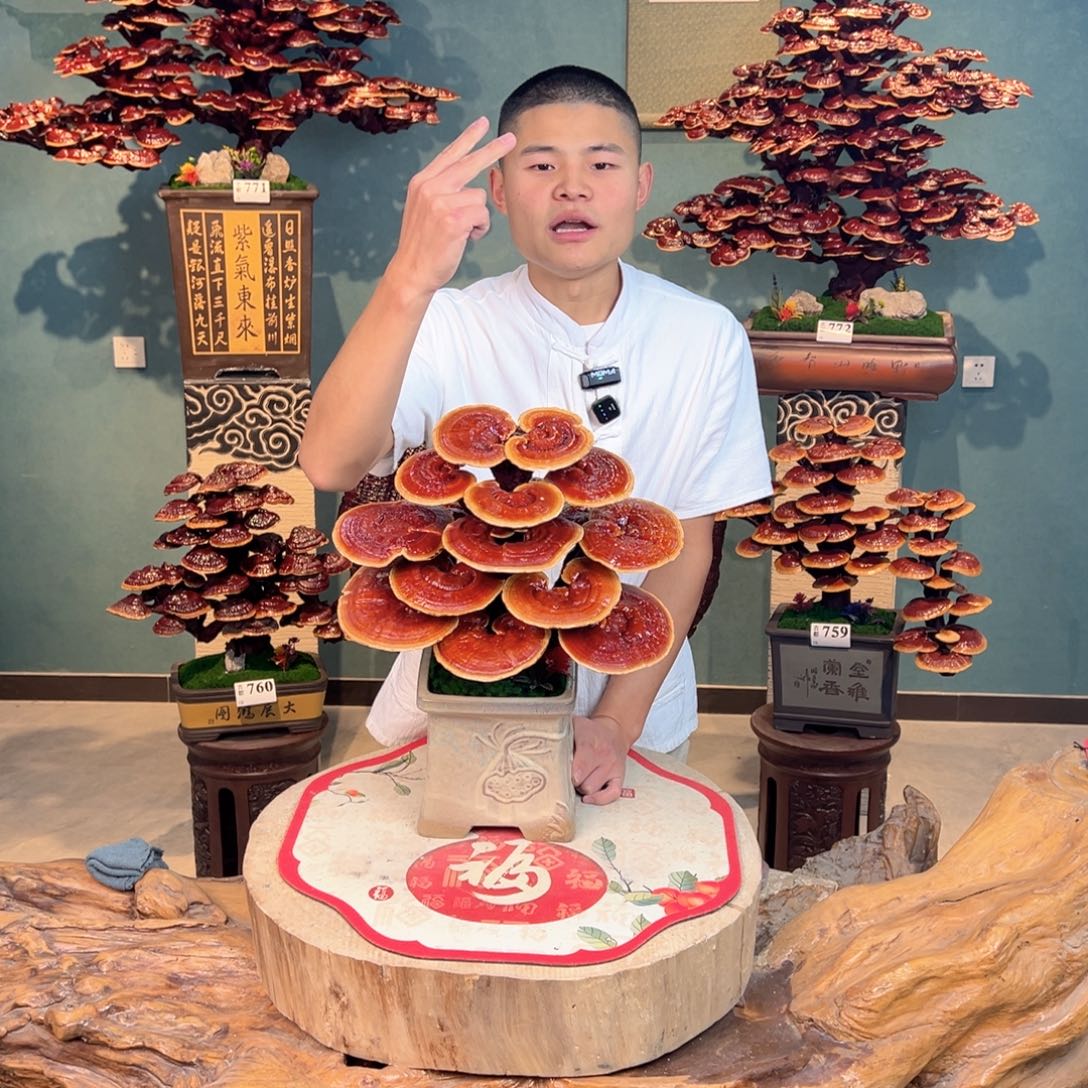 无花朵8988888888888