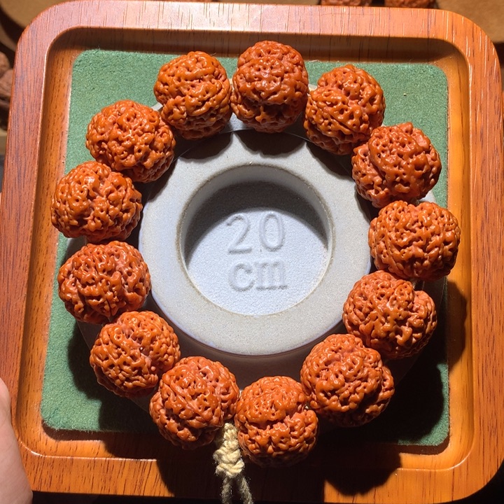 手串金刚菩提24+贵妃