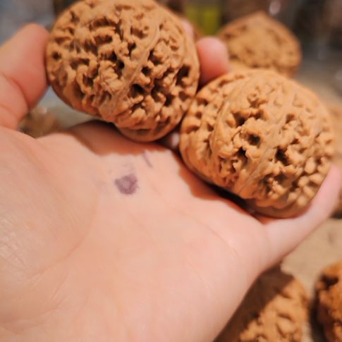 吊坠文玩核桃48粗筋