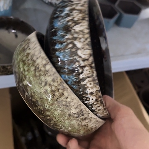 ···2个处理······随机颜色5059