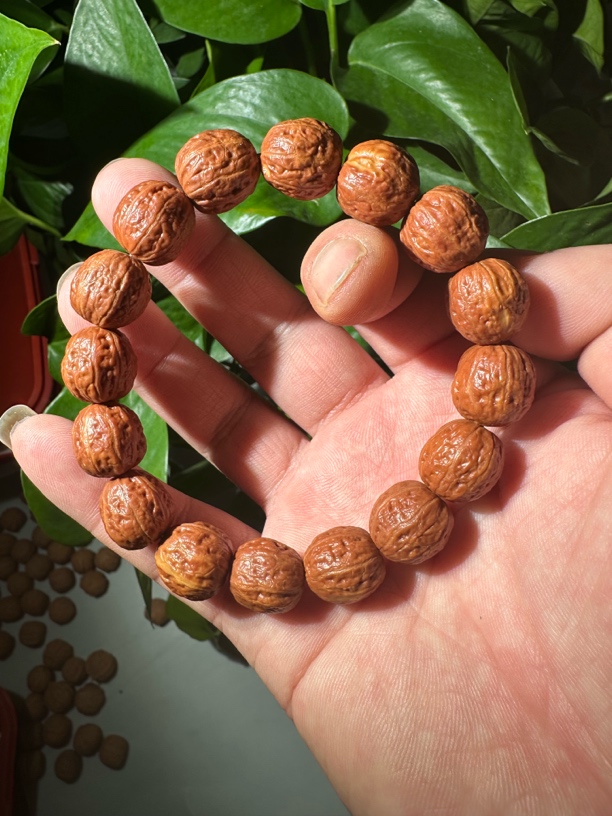 【小蛤蟆】文玩核桃野生小核桃楸子手串系列有修