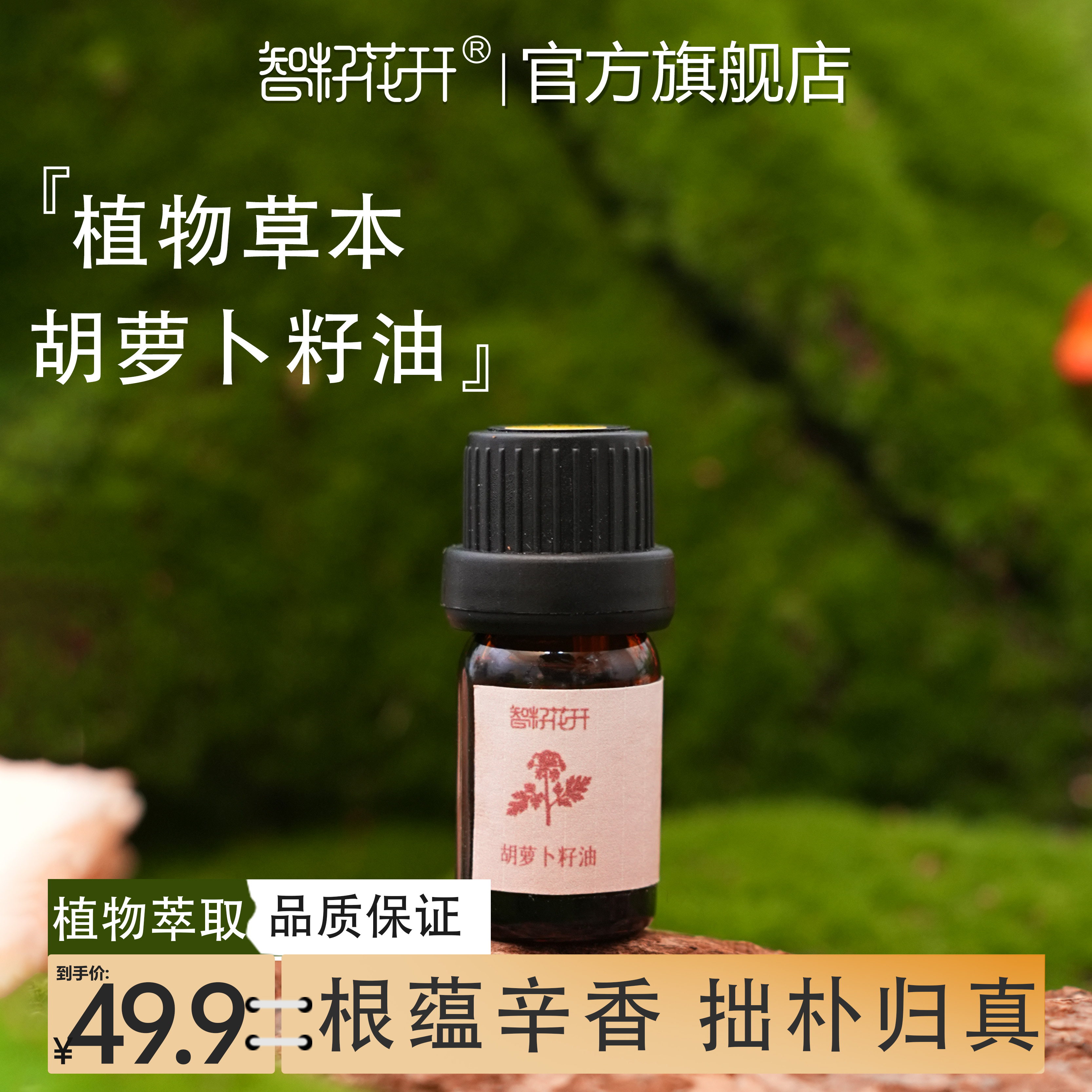 【胡萝卜籽油买2送1到手3瓶】木香土香沉静放松调香扩香