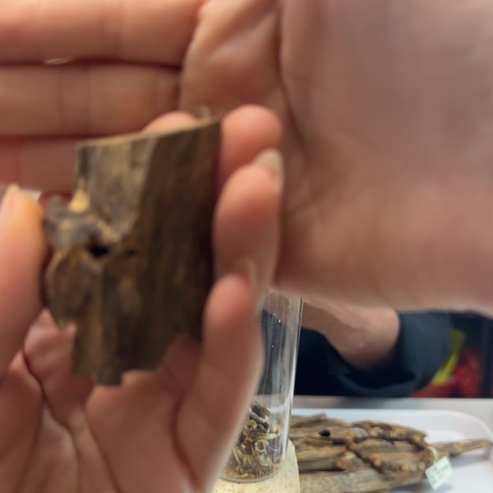 沉香碎屑沉香原材料5克