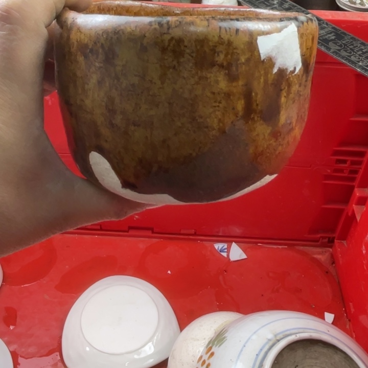 碟开播了开播了开播了